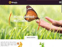 Tablet Screenshot of kinezis.com.pl